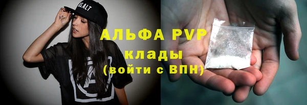 мдпв Горнозаводск