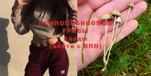 мдпв Горнозаводск