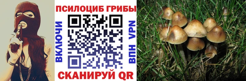 Псилоцибиновые грибы Cubensis  Купить  Талица 